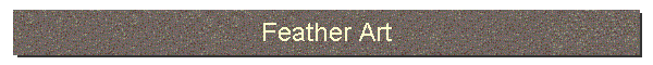 Feather Art